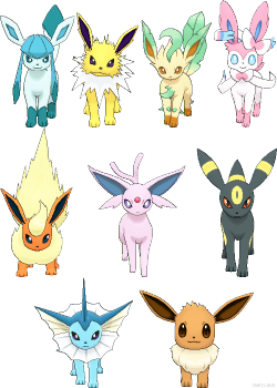 zweilous:  pokémon amie sprites of eevee and co. i edited flareon’s