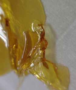 spaceoracle:  every dab tastes like limes some of the best BHO
