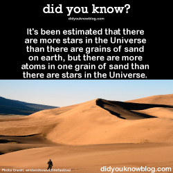 did-you-kno:  It’s been estimated that there are more stars