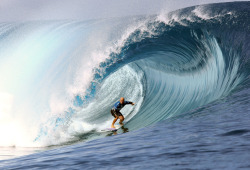 atlanticinfocus:  From Photos of the Week: 8/17-8/23, one of