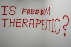 paintdeath:  Freedom Texts by Claire Fontaine by Linnette Alissa.