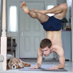 ladnkilt:  SUPER CUTE…  AND ITS YOGA MASTER, TOO!Presenting