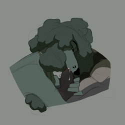 poodlepartei: succ.png c: