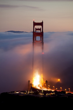 whenitallturnstodust:  Standing Tall (by scott in sf)