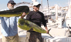 gif-guy:  http://gif-guy.tumblr.com/