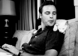 moonchild30:  Marlon Brando and a cat (1950’s) 