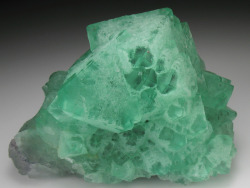 mineralists:  Tightly intergrown octahedrons of Fluorite. There