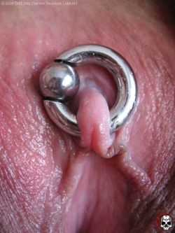 pussymodsgalore  Prominent pierced clit with an enormous ring.