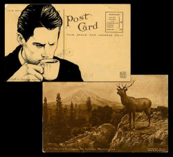 devilduck:  We love these wonderful vintage postcards that’ve