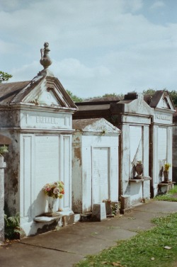 weston-miller:  Lafayette Cemetery 