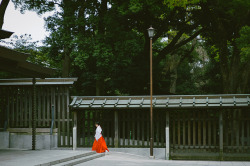 japanlove:  Meiji Shrine, Tokyo by kite in a cloud on Flickr.