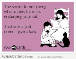 funsubstance:  Its true …Cats don’t give a F*ck