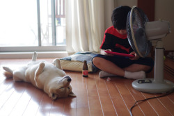 remblr:  犬と少年 