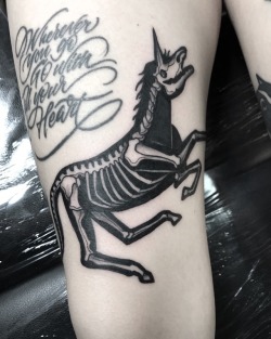 rockydarkroads:X ray Unicorn