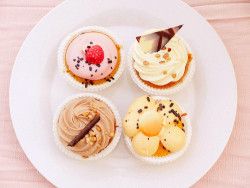 kawaii-i:  Cupcakes - by Sancty Yumi                        