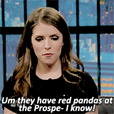 anna-kendrickarchive:  Anna talking about red pandas on Late