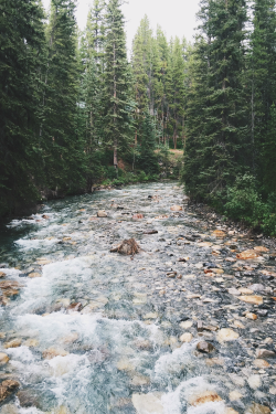 bvddhist:  expressions-of-nature:  by hanlechri Johnston Canyon,