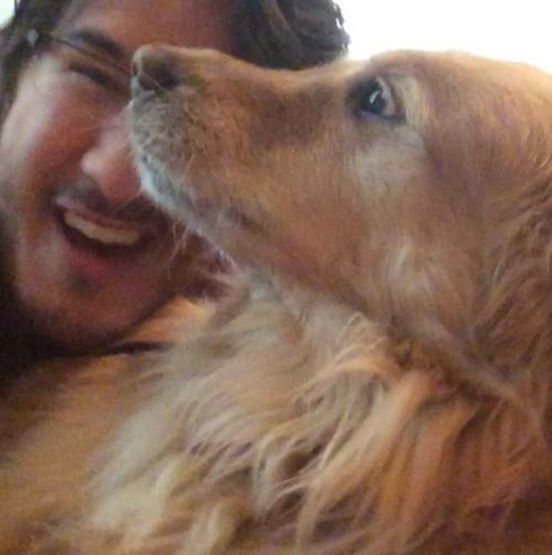 pucklexis:  Markiplier and his puppies.