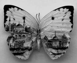 spells-of-life:   Extraordinarily Tiny Paintings of Istanbul