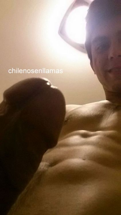 chilenosenllamas:  Wladimir, 20 años de Santiago. vuelve este machito con verga deliciosa!Mira su video aquí:http://chilenosenllamas.tumblr.com/post/144282675591/vídeo-de-wladimir-20-años-haciéndose-una
