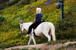 ladyxgaga:  January 29th, 2016: Gaga riding her horse at her