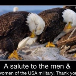 Thank you to all the veterans and active military. Without you,we