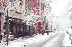 georgianadesign:  Winter Wonderland in New York by Paris in Four