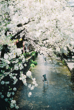 sem-o-medo:  By Yun Q 