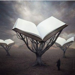 sakkarah:  No hay nada como la lectura…