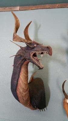 wolfologist:“Taxidermy dragon, Magic sculp, deer antler