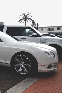 officiallanaa:  drugera:  Coupe & Rover.  . 