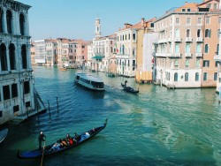 aprihcote:Venice you’re magic