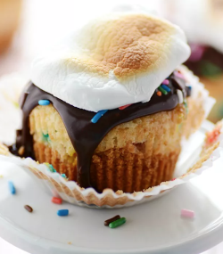 fullcravings:  Funfetti S’mores Cupcakes   Like this blog?