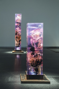 sculptores:  Tom Price - Synthesis 1 & 2 (Resin and tar)