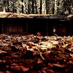 assbutt-trumpet:  Favourite Movies ~ The Cabin in the Woods 