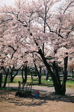 japan-overload:  by   Izumi Shimamura