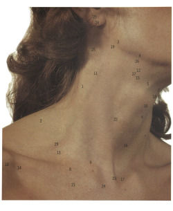 avtavr:   The exposed neck: from the accessory nerve (emerging)