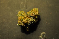 godshideouscreation:  what i’m about to smoke ;)