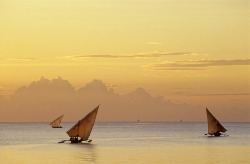 landscapelifescape:  West Coast, Zanzibar, Africa Zanzibar Sailing