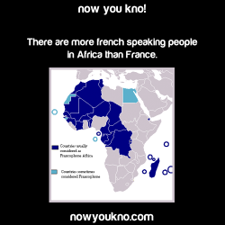 nowyoukno:  Now You Know (Source)
