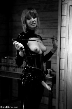 dommetoy:  Please, Mistress, tie me up, tease me, whip me and