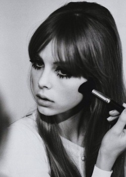 chamanka:  supermodelgif: Edie Campbell photographed by Jessie