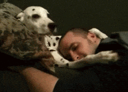 Reblog if you're a cuddler.