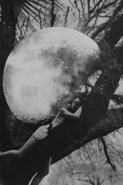 theblackballerina:  The Moon is Ours (by Bunny Jenny) 
