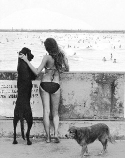 beatnikdaddio:South Beach Pier. 1977.