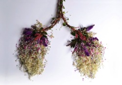 smartgirlsattheparty:   Human Organs Formed with Wild Plant Arrangements