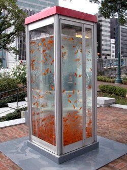 daesungswingsx:  Repurposed Phone booth in Osaka.♥