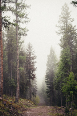 betsydougherty:  Early morning walk in Seeley Lake, Montana.Betsy