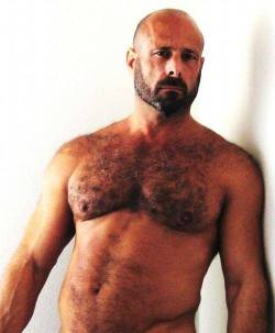 Follow my two hairy men blogs: http://sambrcln.tumblr.com http://hairysex.tumblr.com