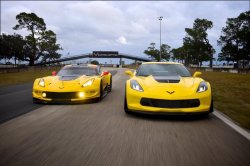 corvettes:  Corvette Racing C7.R and 2017 Corvette Z06